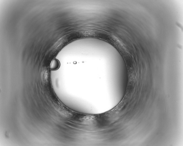 X0000093760124200710301152