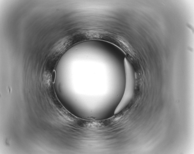 X0000093760125200710301152