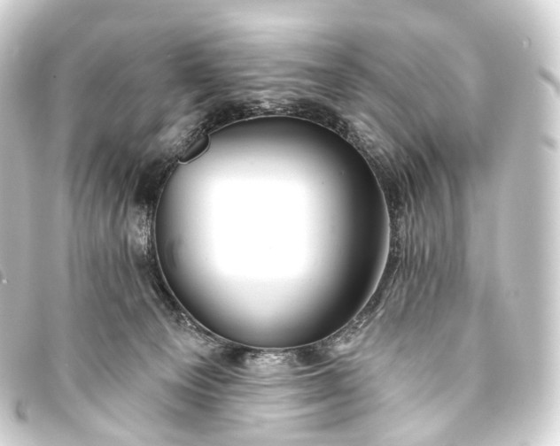 X0000093760129200710301152