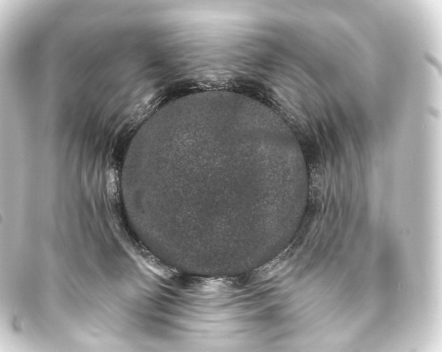 X0000093760130200710301152