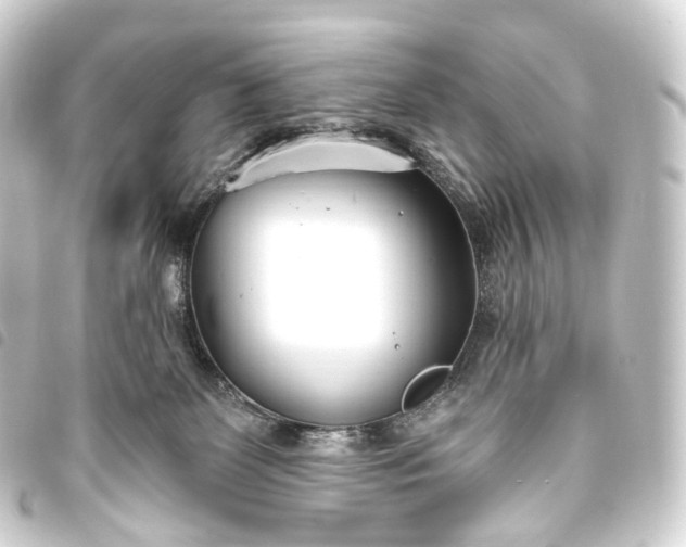 X0000093760131200710301152