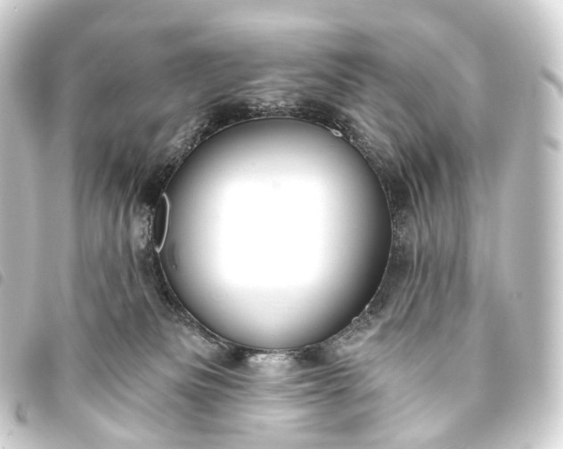 X0000093760133200710301152