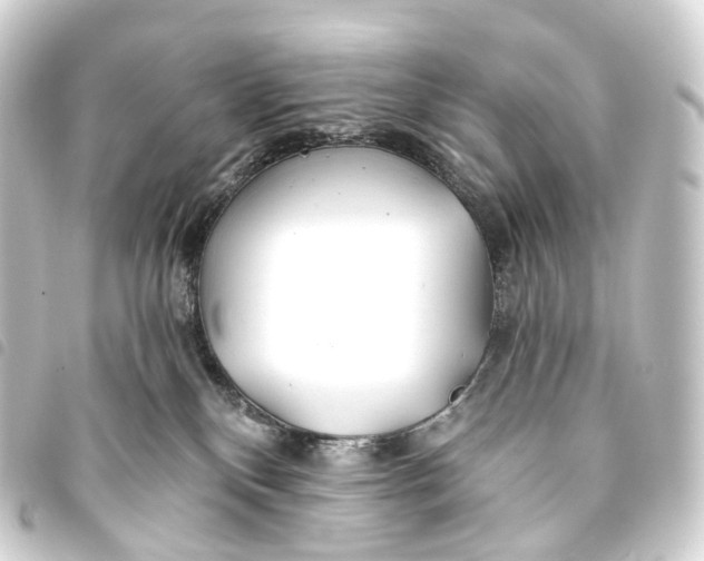 X0000093760136200710301152