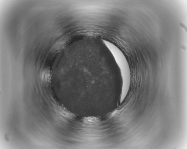 X0000093760137200710301152