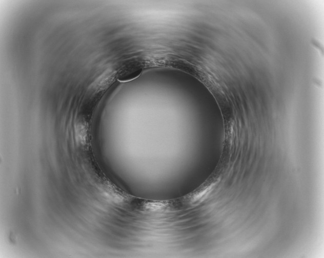 X0000093760139200710301152