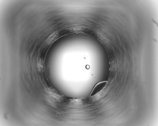 X0000093760140200710301152