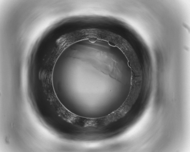 X0000093760143200710301152