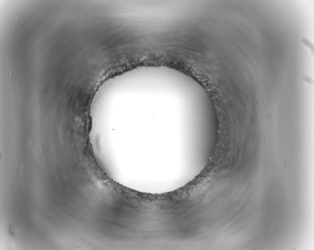 X0000093760144200710301152