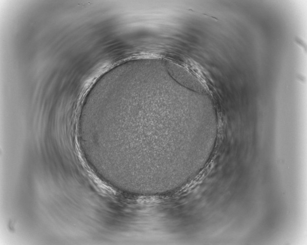 X0000093760145200710301151