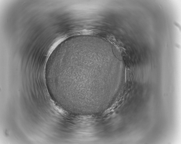 X0000093760147200710301152