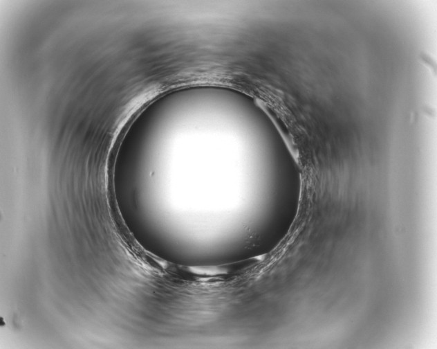 X0000093760148200710301152