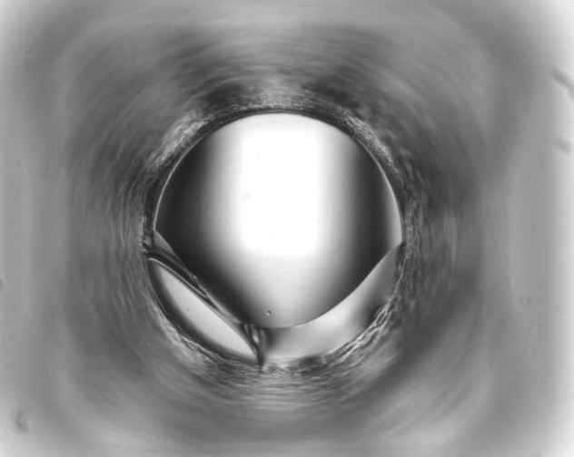 X0000093760154200710301152