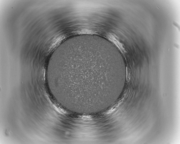 X0000093760157200710301152