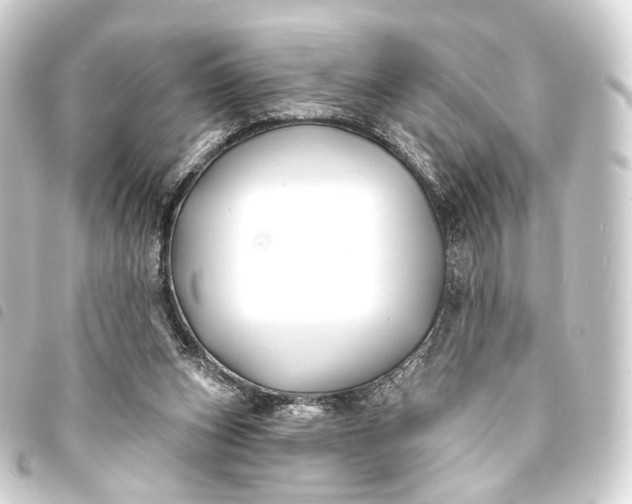 X0000093760159200710301152