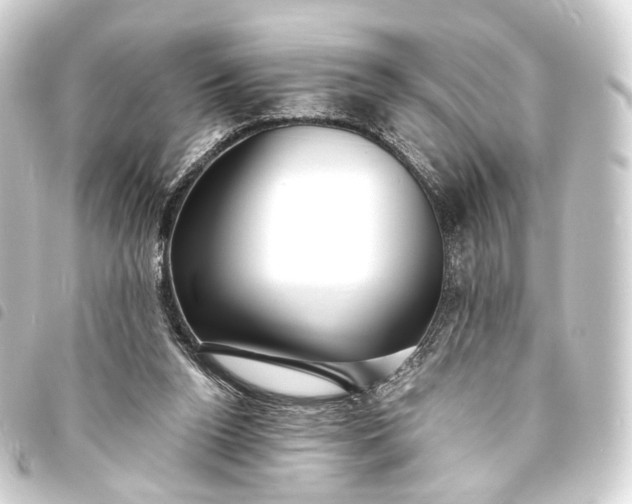 X0000093760160200710301152