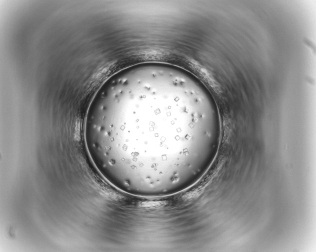 X0000093760161200710301152