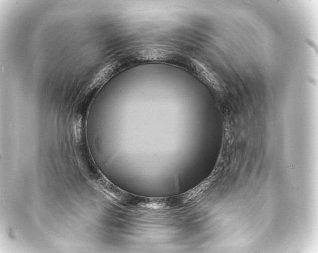 X0000093760163200710301152