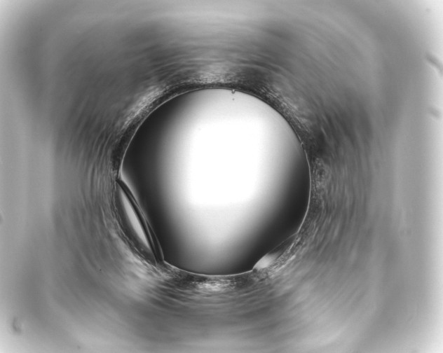 X0000093760164200710301152