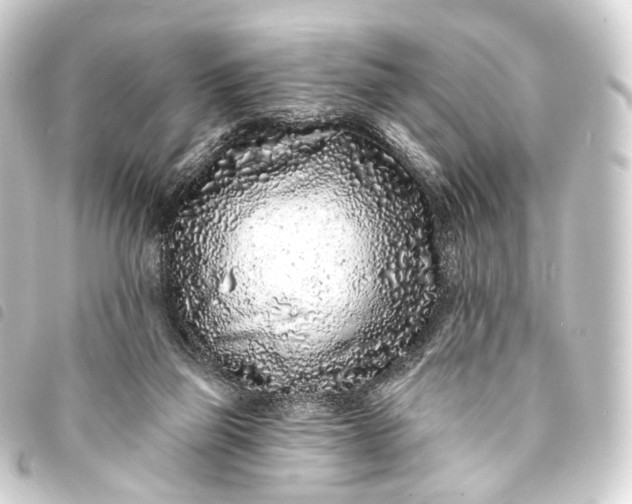 X0000093760165200710301152