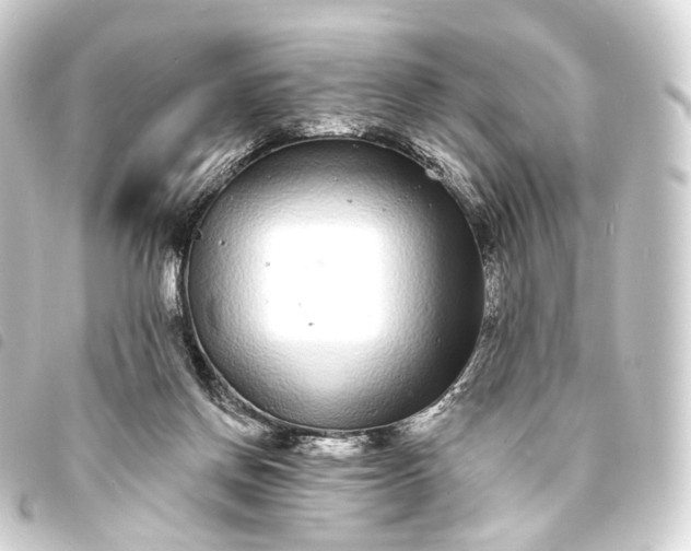 X0000093760166200710301152