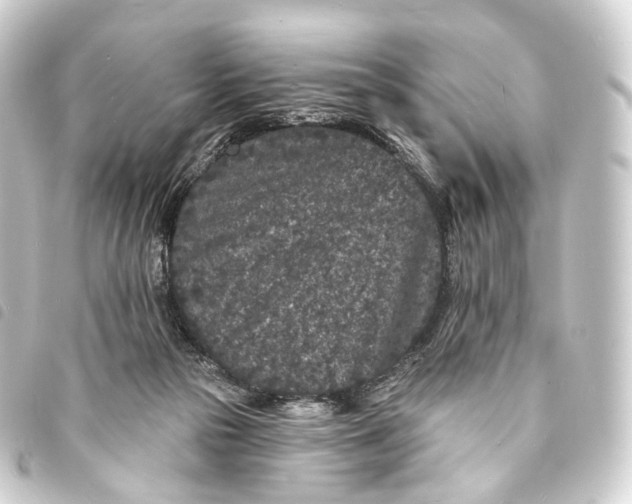 X0000093760169200710301152