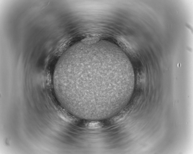 X0000093760173200710301152