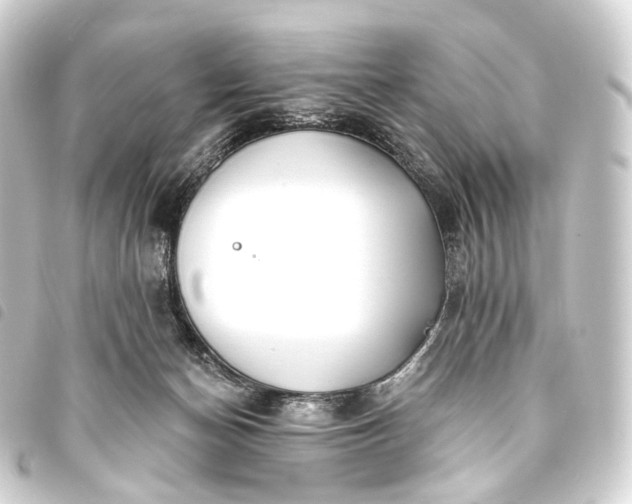 X0000093760174200710301152