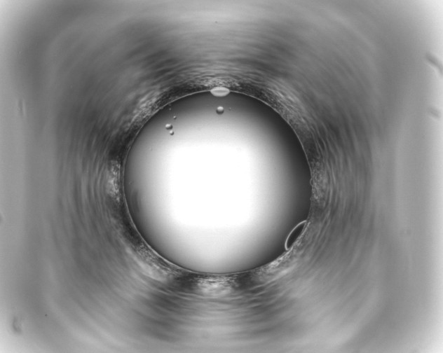 X0000093760175200710301152