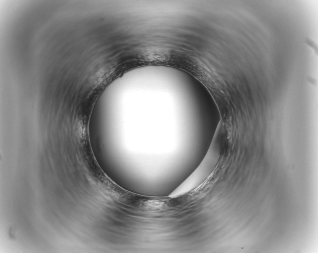 X0000093760176200710301152