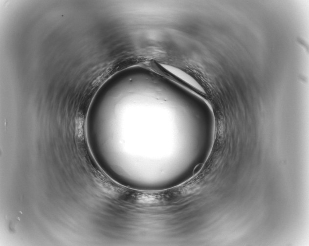 X0000093760177200710301152