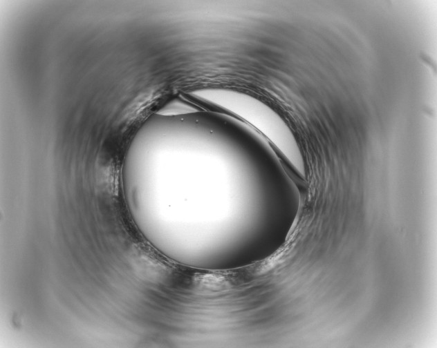 X0000093760180200710301152