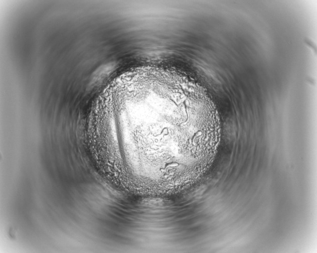 X0000093760181200710301152