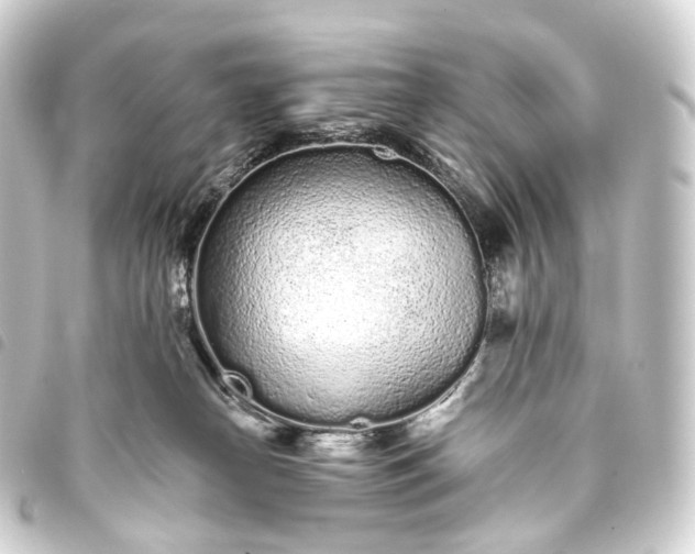 X0000093760182200710301152