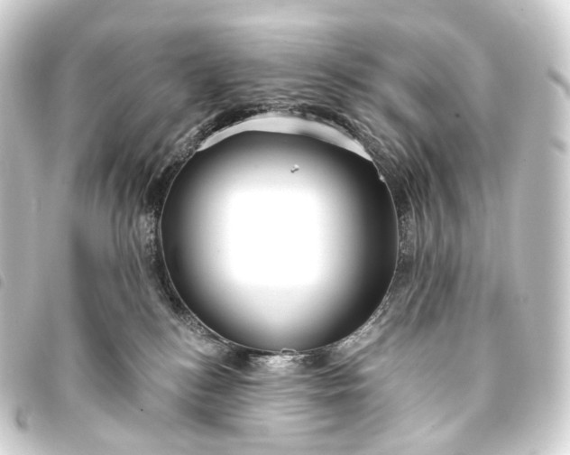 X0000093760184200710301152