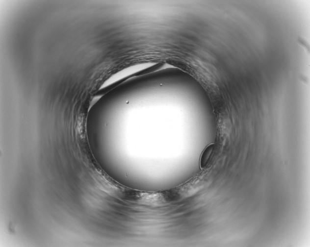 X0000093760185200710301152