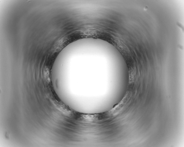 X0000093760187200710301152