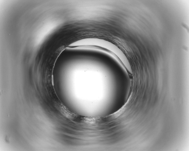 X0000093760190200710301152