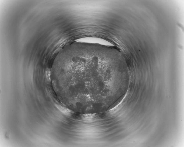 X0000093760191200710301152