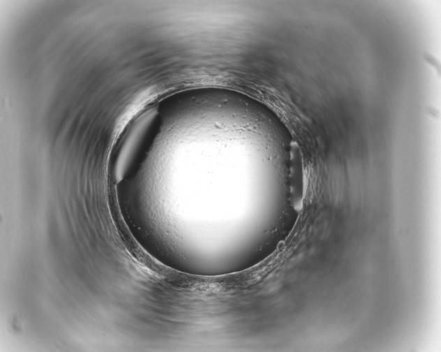 X0000093760195200710301151