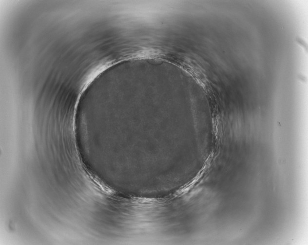 X0000093760196200710301151