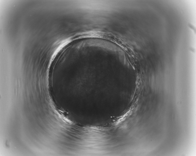 X0000093760200200710301151