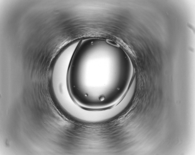 X0000093760203200710301151