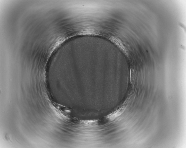 X0000093760204200710301151