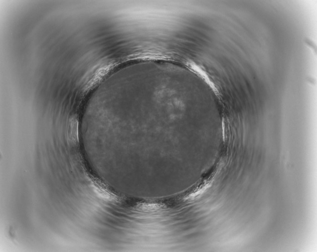 X0000093760205200710301151