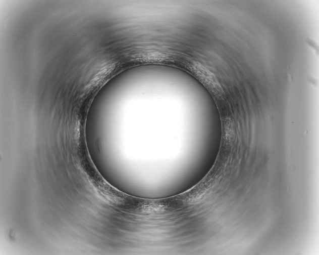 X0000093760206200710301151