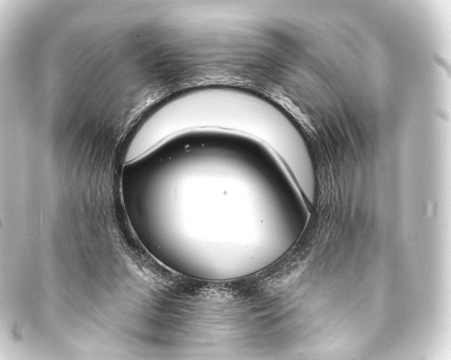 X0000093760207200710301151