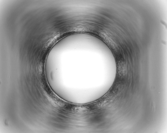 X0000093760208200710301151