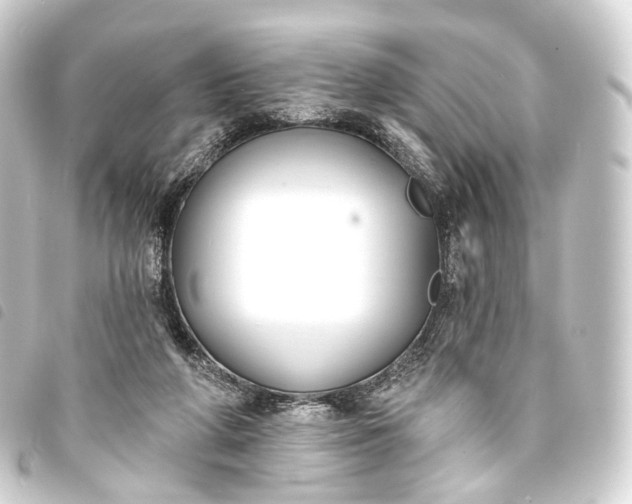 X0000093760210200710301151