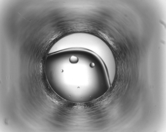 X0000093760211200710301151