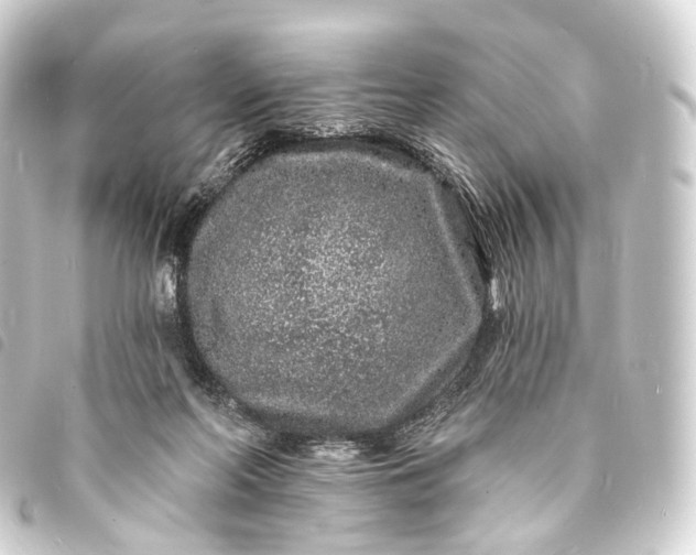 X0000093760214200710301151